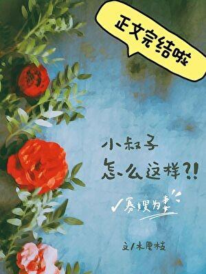 寡嫂的主母历程