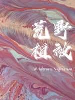 荒野植被讲的什么故事
