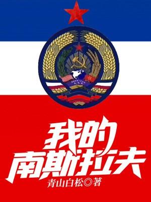 我南斯拉夫大使馆