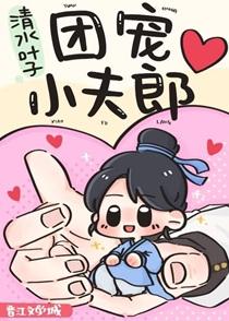 团宠小夫郎TXT资源