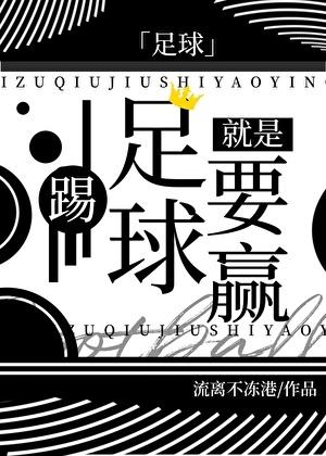 足球踢足球就是要赢番外