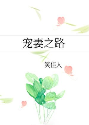 宠妻之路txt